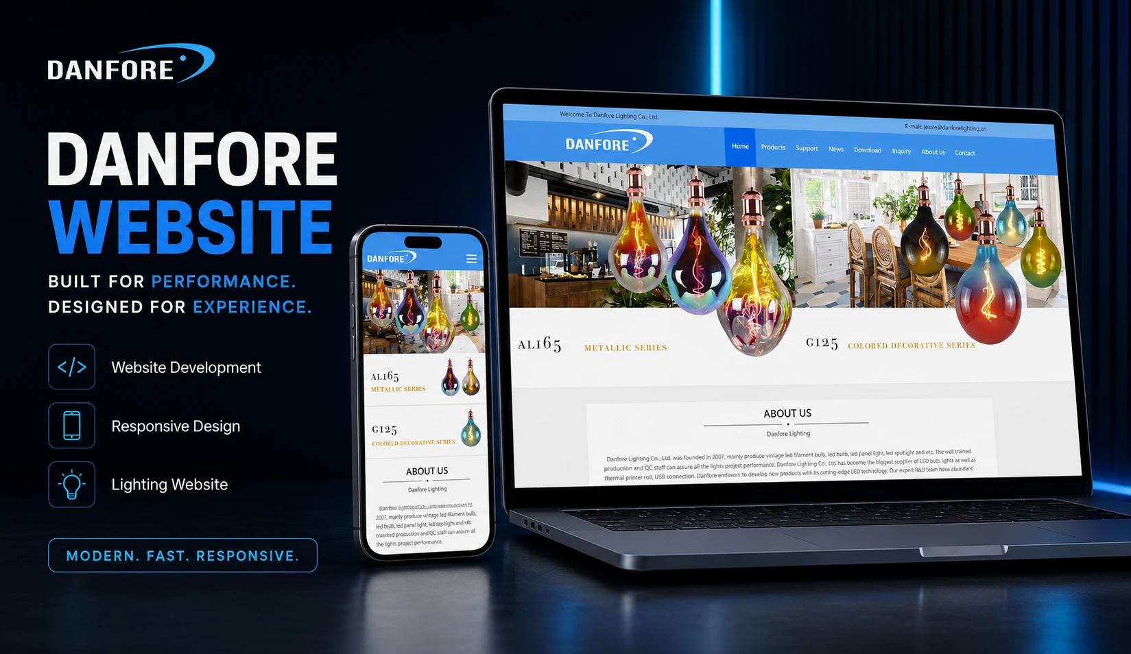 Shenzhen Danfore Lighting Co. LTD - Website Development visualization screenshot 1